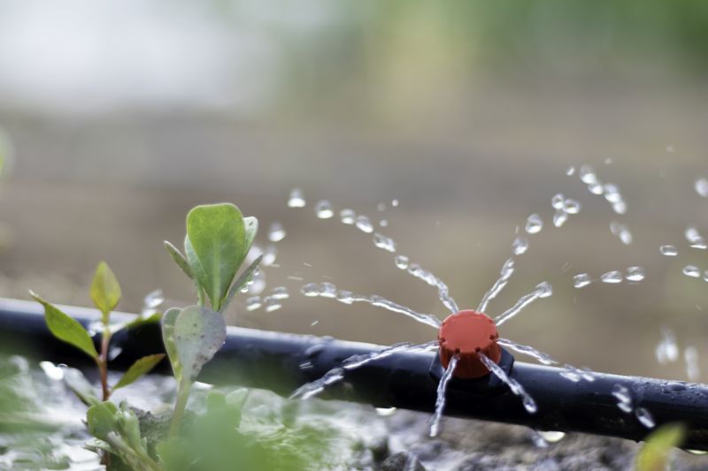 Drip Irrigation Installation in Aiken, SC