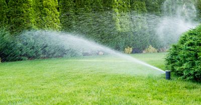 Water Sprinkler Service detail