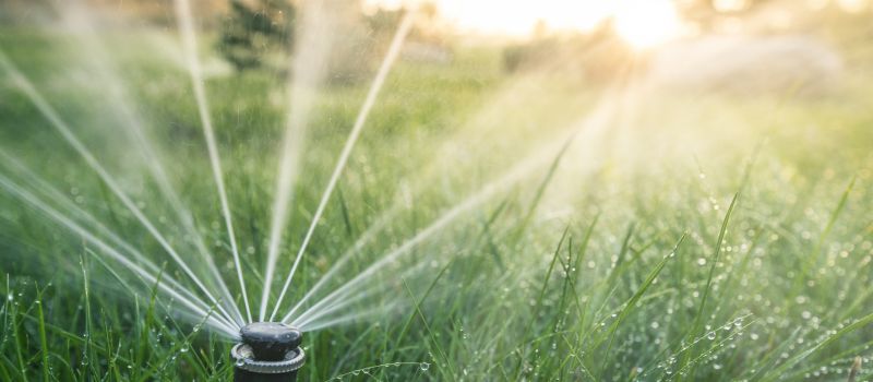 Sprinkler Head Replacement in Honolulu, HI