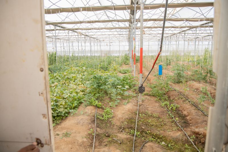 Watering System Installation in Ventura County, CA